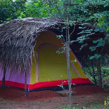 Sigiri Jungle Camping 호텔 시기리야 외부 사진