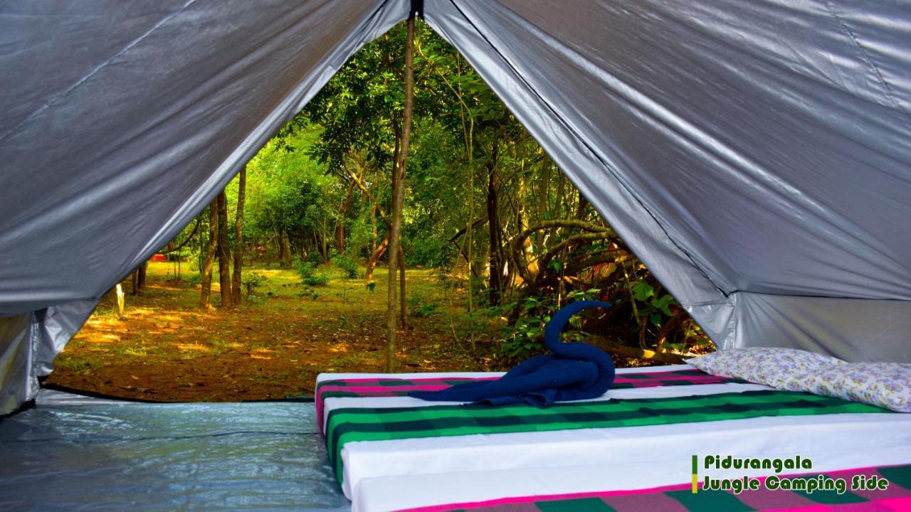 Sigiri Jungle Camping 호텔 시기리야 외부 사진